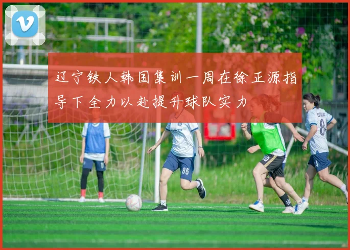 辽宁铁人韩国集训一周在徐正源指导下全力以赴提升球队实力